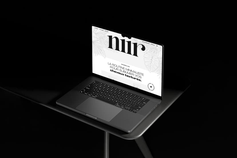 NIIR preview